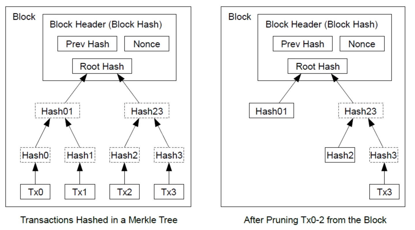 左右两张对比图。左图是完整的 Merkle 树：四笔交易 Tx0 到 Tx3 各自哈希成 Hash0 到 Hash3，两两合并成 Hash01 和 Hash23，再合并成区块头里的 Root Hash，区块头里还有 Prev Hash 和 Nonce。右图是剪掉 Tx0 到 Tx2 之后：这三笔交易和 Hash0、Hash1 都不再保留，只留下 Hash01、Hash2、Hash3 和 Tx3，仍然能一路算回同一个 Root Hash